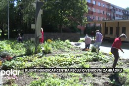 Klienti Handicap centra Škola života pečují o venkovní zahrádku ve Frýdku-Místku