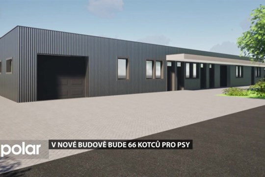 Část psího útulku musí k zemi. Povodeň ho poškodila příliš