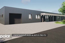 Část psího útulku musí k zemi. Povodeň ho poškodila příliš