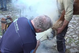 Kouzlo starých řemesel a práce kovářských mistrů byly k vidění v rožnovském skanzenu