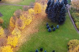 Olomouc chystá výsadbu nových stromů, ochrání parky před horkem