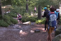 Koberovy uspořádaly běh na Sokol