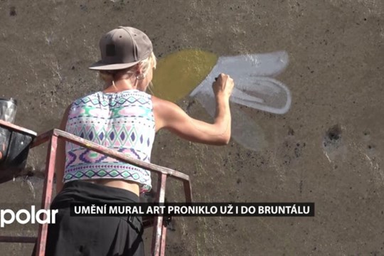 V Bruntále jsou k vidění první umělecká díla stylu mural art krnovské výtvarnice Nellidy