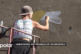 V Bruntále jsou k vidění první umělecká díla stylu mural art krnovské výtvarnice Nellidy