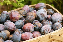 Farmářské trhy v Karlových Varech nabídnou ovoce, zeleninu i italské speciality
