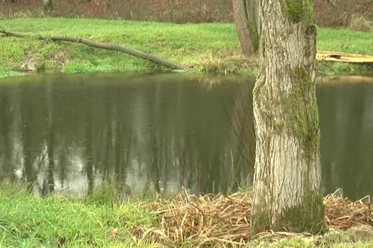 Kraj se zapojí do projektu na ochranu klimatu