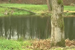 Kraj se zapojí do projektu na ochranu klimatu