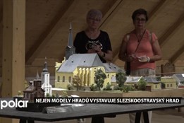 Slezskoostravský hrad vystavuje modely dalších hradů, ale i letadel, vlaků a vojenské techniky