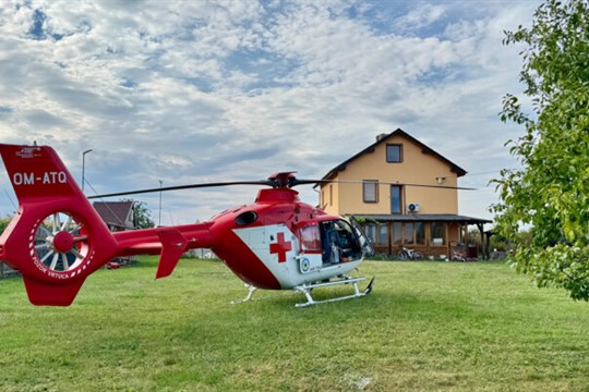 Těžká alergie po bodnutí vosou do krku, muž na Opavsku bojoval o život