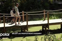 Bělský les propojí nové chodníky. Z lokality se stalo oblíbené místo mnoha Ostravanů