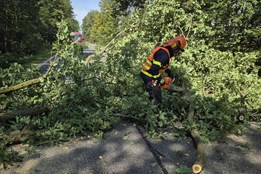 Ve Zlínském kraji řádil silný vítr. Hasiči zasahovali u desítek událostí