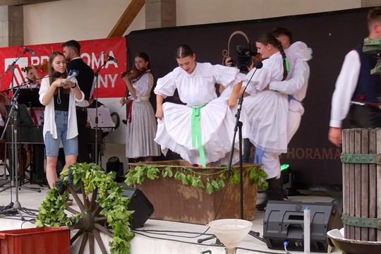 Šlapání hroznů dívčí nohou doprovodil košt více než 200 vzorků vín