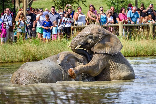 Zlínská zoo útočí na návštěvnický rekord! Každý pátek v září a říjnu bude vstupné jen za stovku