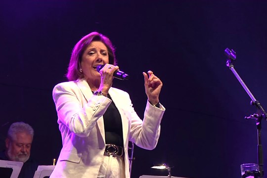 Plný amfiteátr si užil koncert české hudební legendy