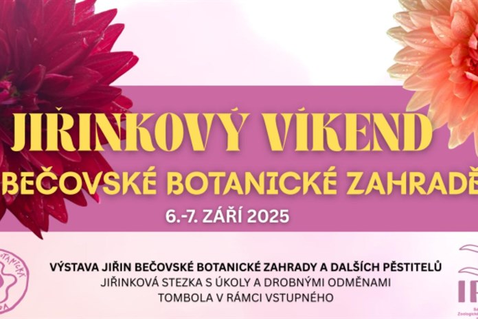 Potěšte se krásou podzimních květin v Bečovské botanické zahradě