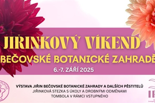 Potěšte se krásou podzimních květin v Bečovské botanické zahradě