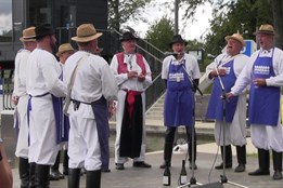 V přístavu se uskutečnilo historicky první veselské vinobraní