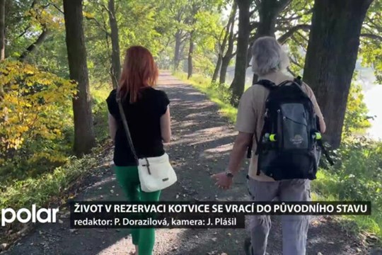 Život v rezervaci Kotvice se vrací do původního stavu