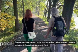 Život v rezervaci Kotvice se vrací do původního stavu