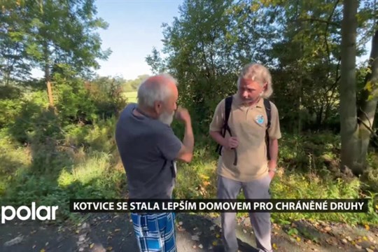 Kotvice se stala lepším domovem pro chráněné druhy, zabydluje se i moták pochop