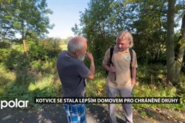 Kotvice se stala lepším domovem pro chráněné druhy, zabydluje se i moták pochop