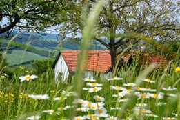 Po stopách Mornštajnové, Tučkové nebo Galušky. Literární místopis ČT zavede diváky i do našeho regionu