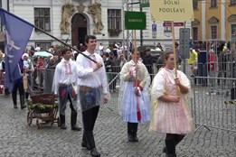 Do Hradiště na Slavnosti vína, do Kunovic na hody