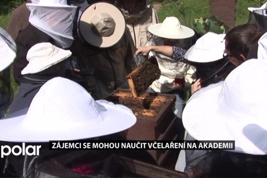 Akademie v Opavě nabízí teorii i praxi z oboru včelaření