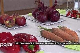 Výstava ovoce a zeleniny přilákala desítky návštěvníků
