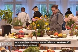 Lidé na výstavě v Palkovicích obdivovali letošní výpěstky zahrádkářů