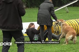 Sranda závod na kynologickém cvičišti prověřil psy i chovatele