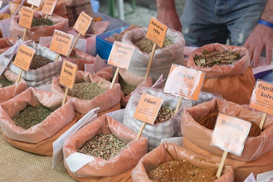 Karlovarské farmářské trhy lákají vůbec poprvé na cibulky botanických tulipánů