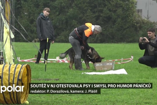 Soutěž v Novém Jičíně otestovala psy i smysl pro humor páníčků