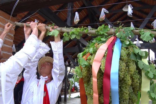 Na vinobraní v Lužicích hodnotili kvalitu úrody i hospodářský rok