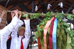 Na vinobraní v Lužicích hodnotili kvalitu úrody i hospodářský rok