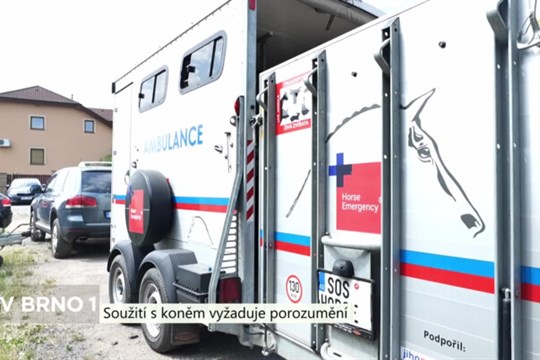 Soužití člověka s koněm vyžaduje porozumění