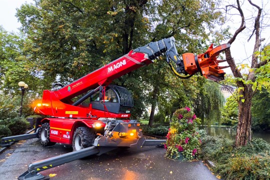 Ve Dvořákových sadech musely být kvůli havarijnímu stavu vykáceny tři stromy