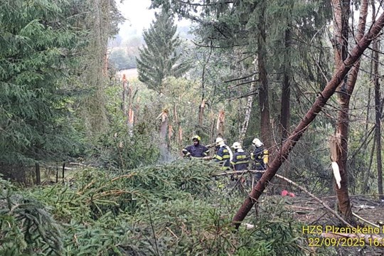 Pondělní nehodu letadla u Balkové nepřežil pilot, žádné další mrtvé osoby policie nenašla