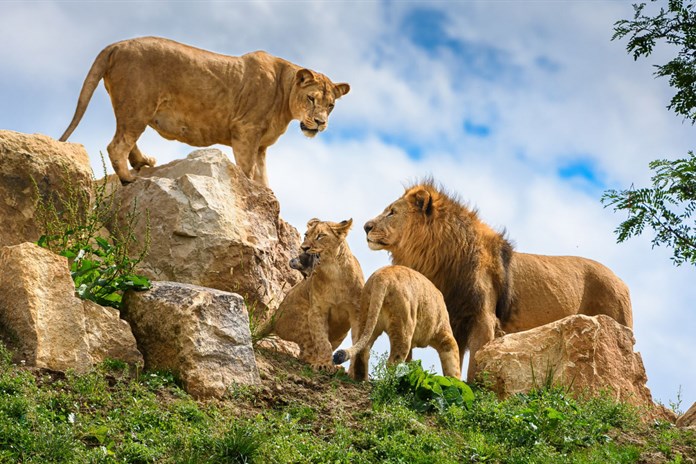 Zoo Zlín je podle recenzí návštěvníků nejlepší zoo v ČR. Překonala i Prahu