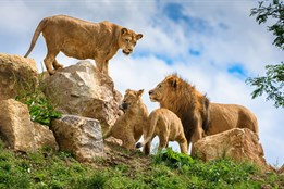 Zoo Zlín je podle recenzí návštěvníků nejlepší zoo v ČR. Překonala i Prahu