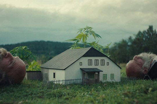 Olomouc rozzáří Telegraph Film Festival: filmy, hudba i umění v odrazech reality