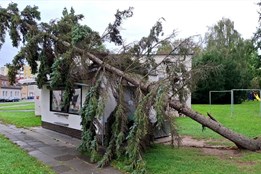 Popadané stromy a zničené střechy. Vichřice zaměstnala hasiče