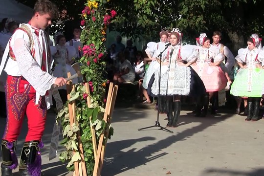 Nechory zažily vinobraní s téměř stoletou tradicí