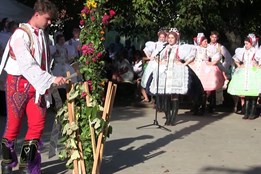 Nechory zažily vinobraní s téměř stoletou tradicí