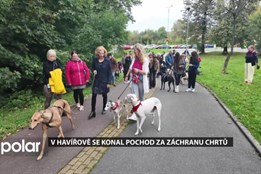 V Havířově se konal pochod za záchranu chrtů