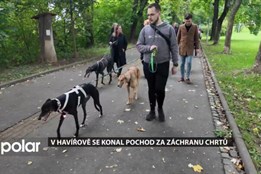 Havířov se stal hlasem chrtů, které po závodech čeká smutný osud