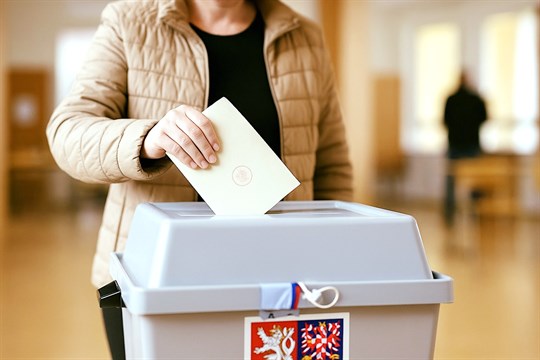 Zlínští strážníci chystají během voleb mimořádná bezpečnostní opatření