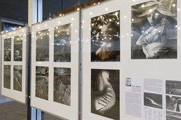 Věhlasný fotograf Petr Sikula vystavuje své fotografie z let 1976-1983