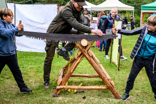 Ostravský Bělský les se o víkendu chystá na Festival dřeva