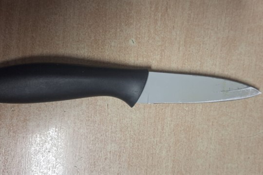 Policisté v Hlučíně odzbrojili ženu s nožem, vyhrožovala přepadením prodejny